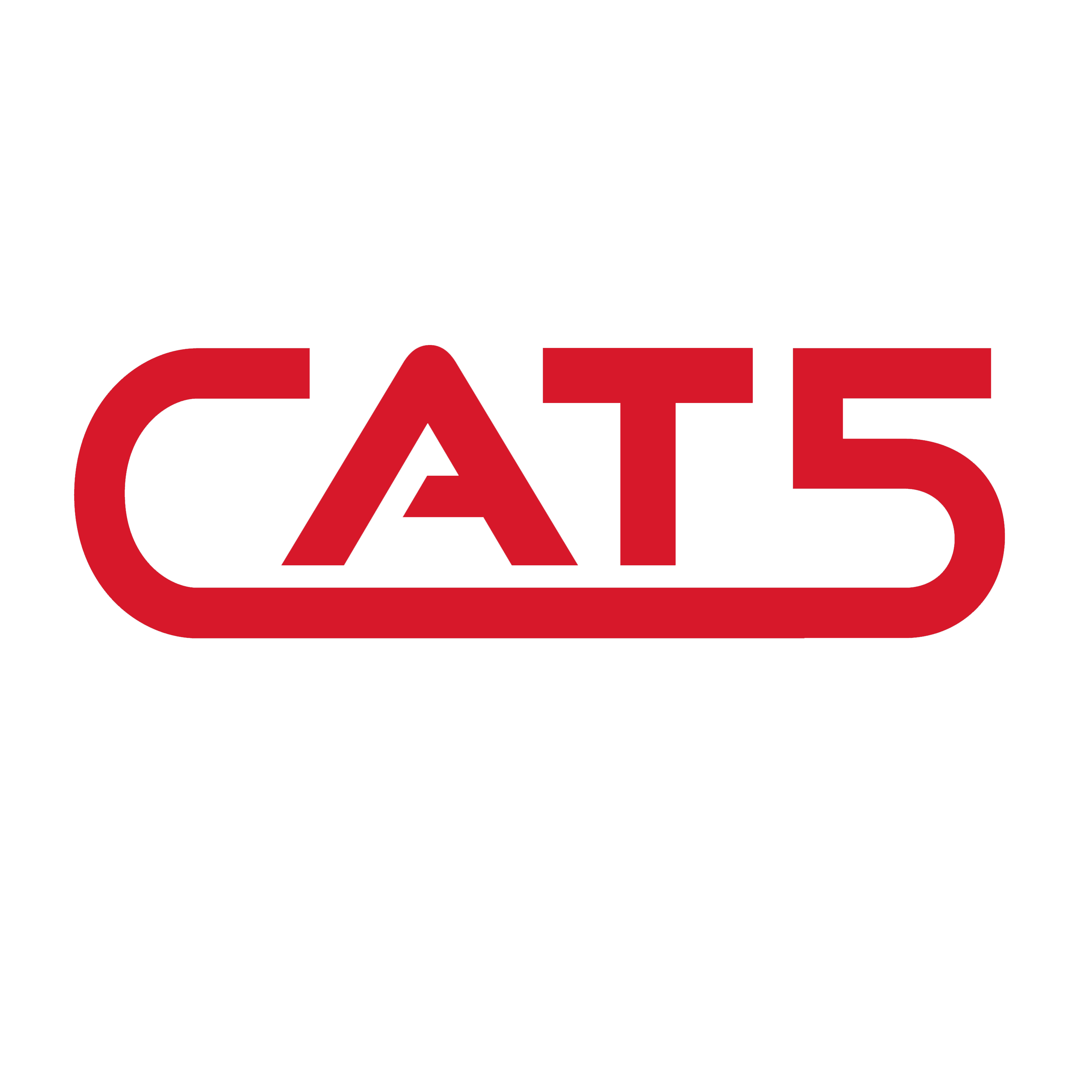 CAT5 Construction Services